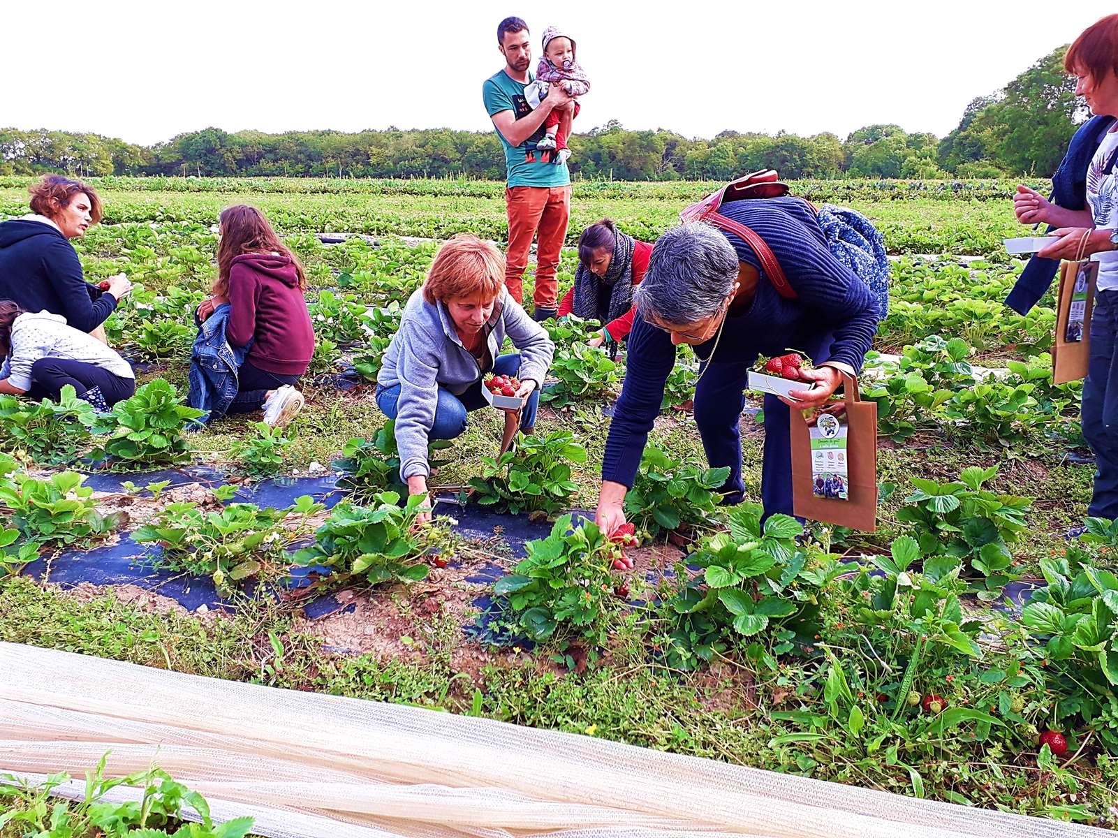 VISITE A LA FERME - Espace Bio 85